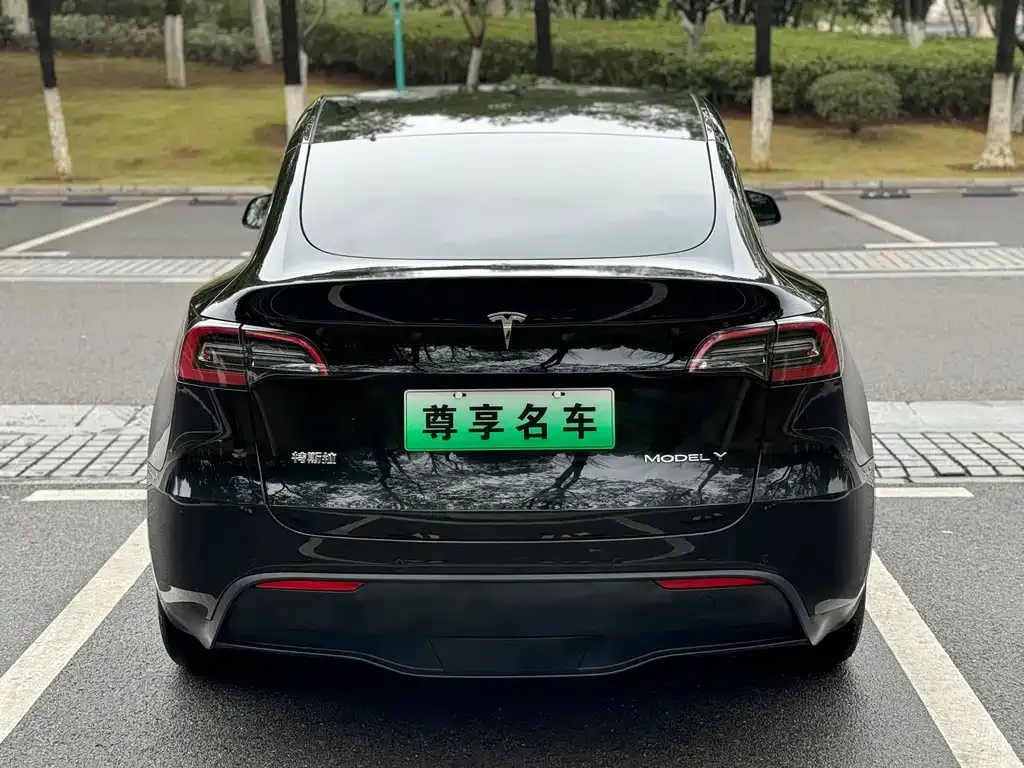 Tesla Model Y — фото 5