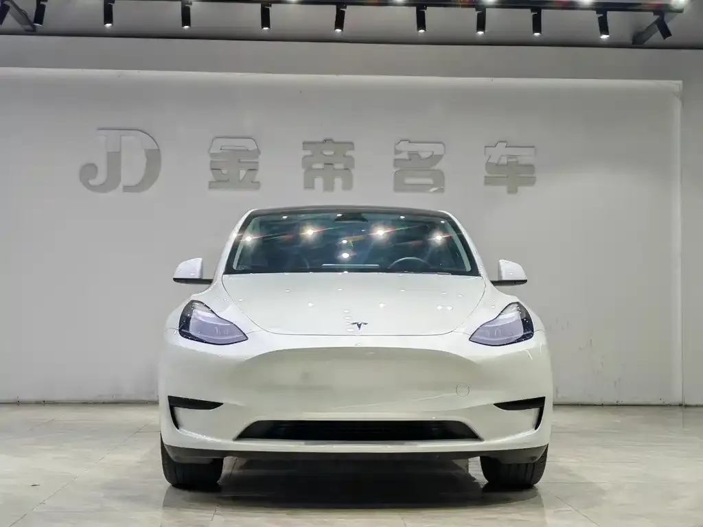 Tesla Model Y — фото 4