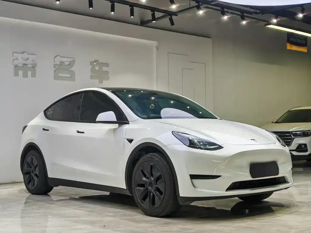Tesla Model Y — фото 6