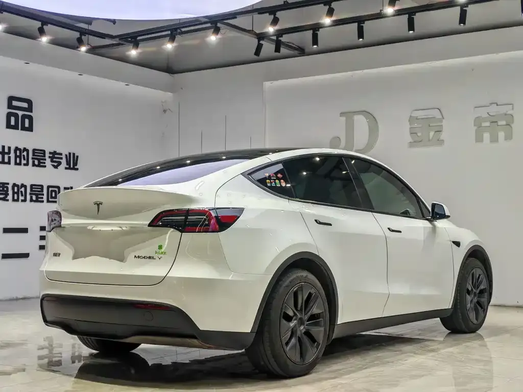 Tesla Model Y — фото 9