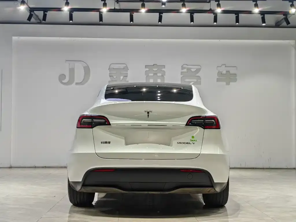 Tesla Model Y — фото 3