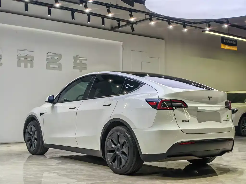 Tesla Model Y — фото 5