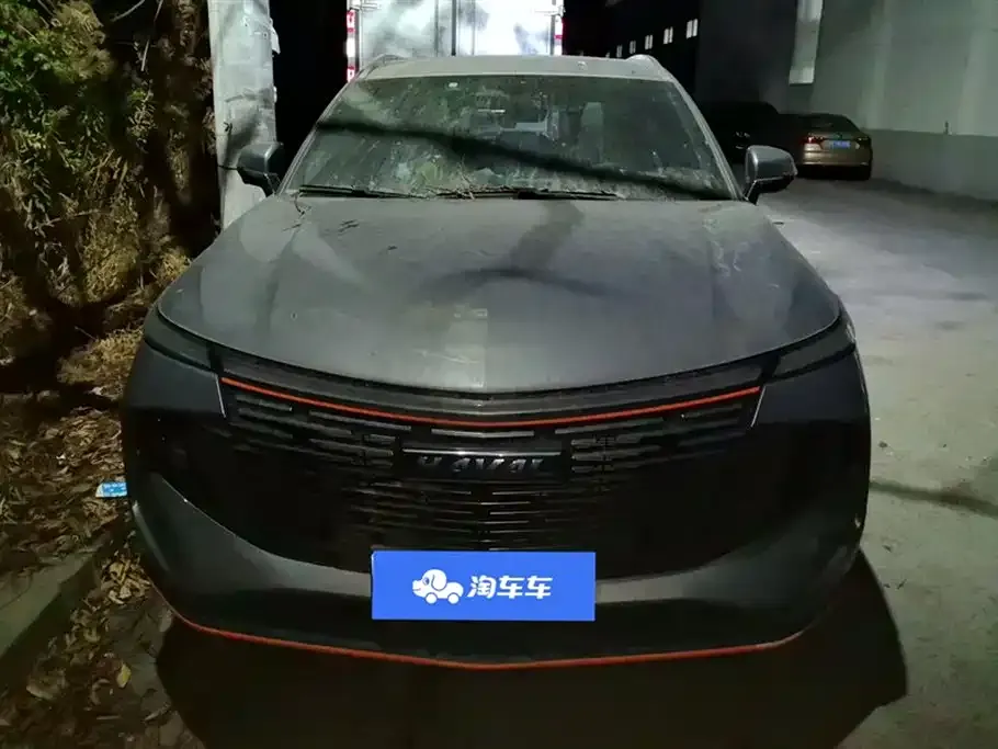 Haval Shenshou 2022 из CN, фото 7