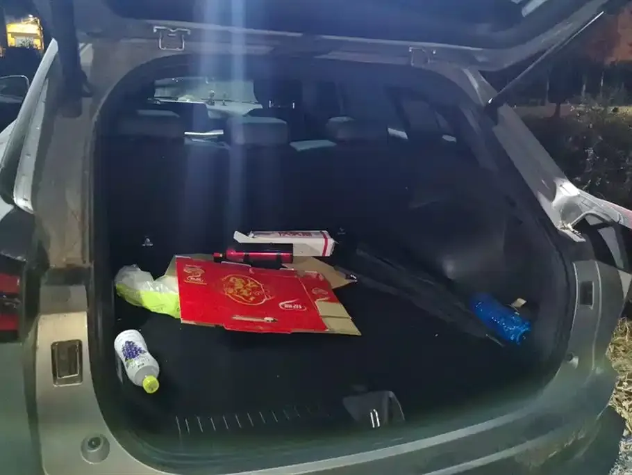 Haval Shenshou 2022 из CN, фото 4