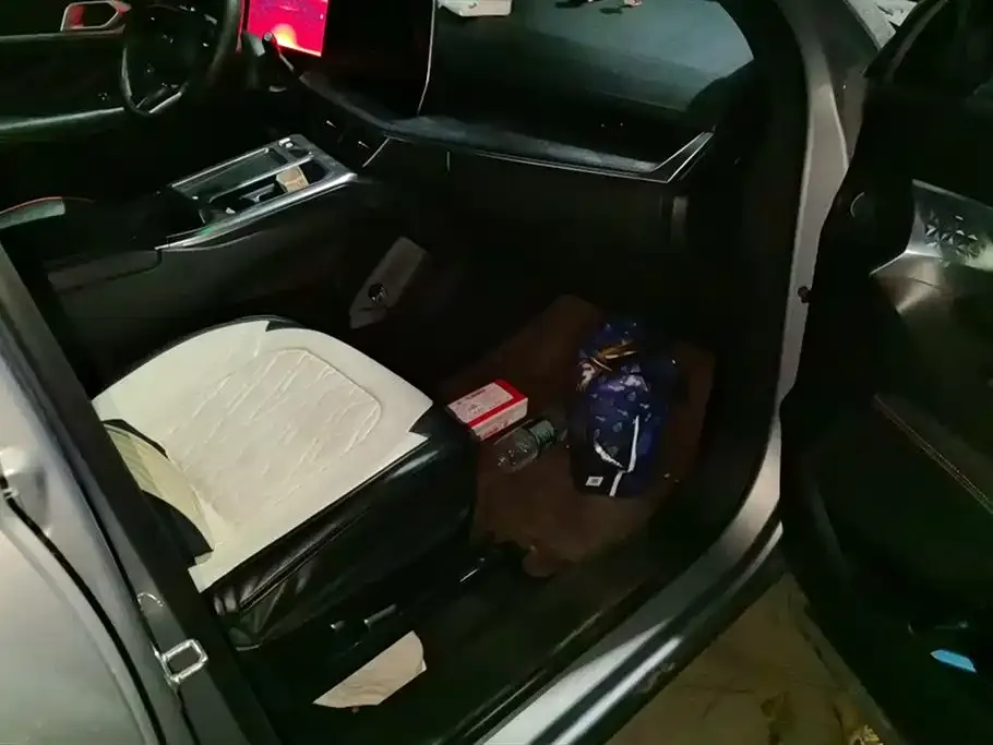 Haval Shenshou 2022 из CN, фото 5