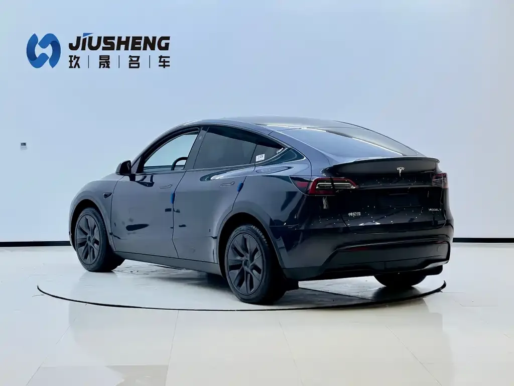 Tesla Model Y — фото 4