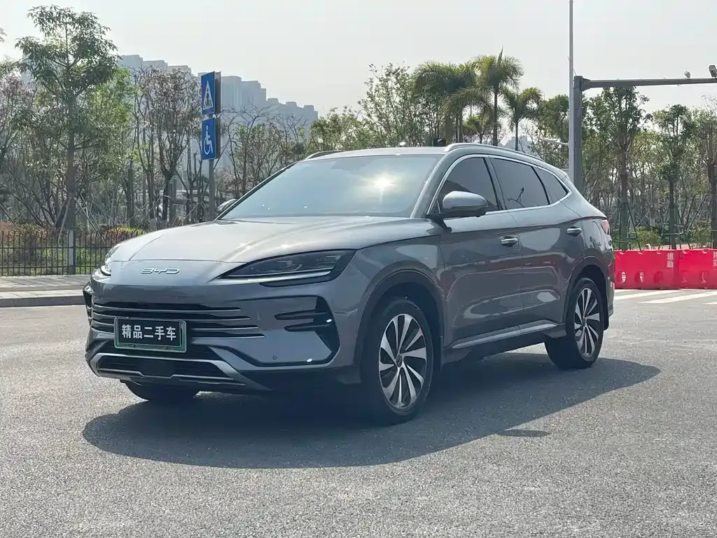 BYD PLUS New Energy 2024 из CN, фото 1