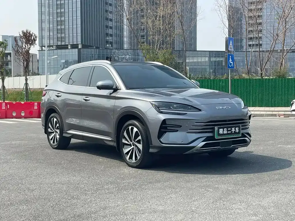 BYD PLUS New Energy 2024 из CN, фото 8