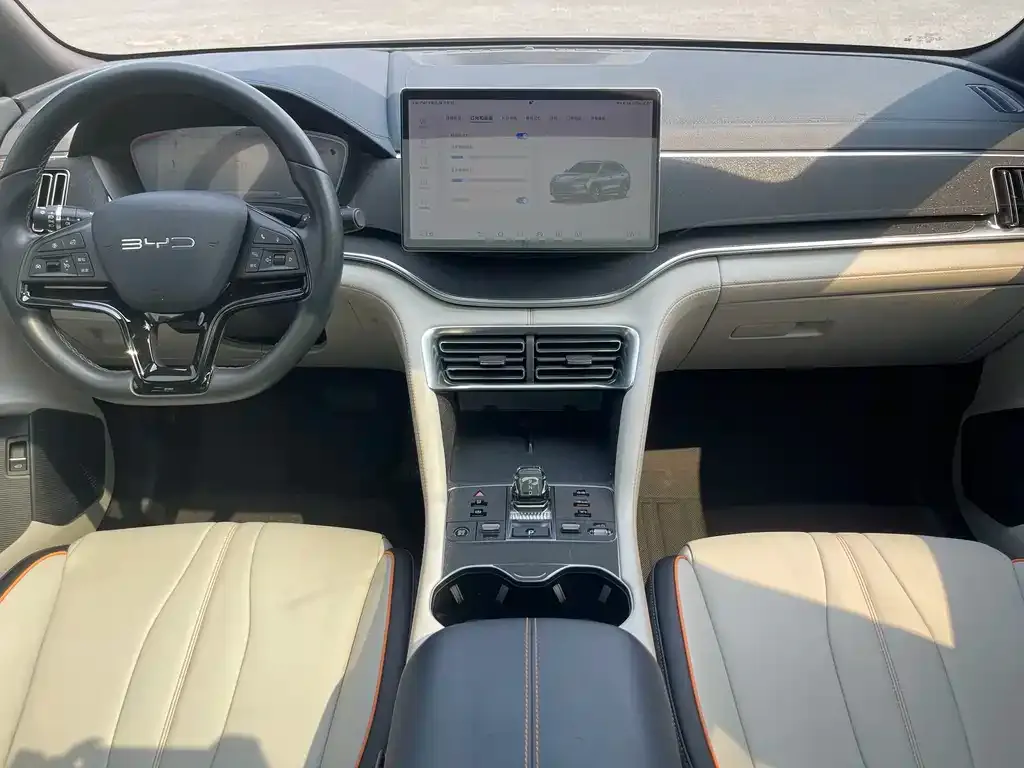 BYD PLUS New Energy 2024 из CN, фото 4