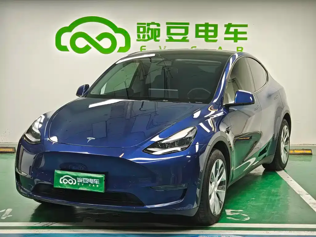 Tesla Model Y 2022 из CN, фото 1