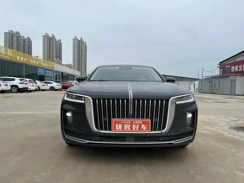 Hongqi H9 2021 из CN, фото 6