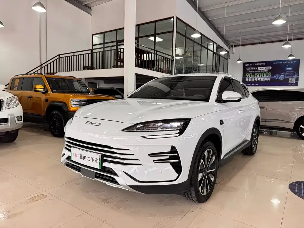 BYD PLUS New Energy — фото 1