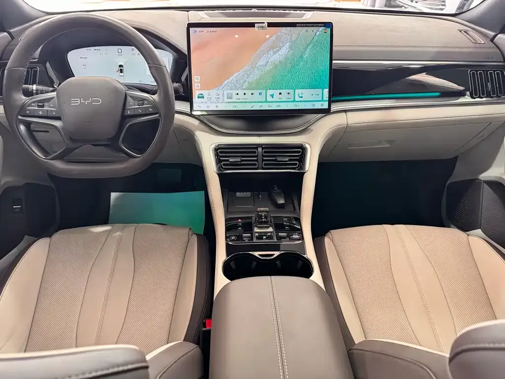 BYD PLUS New Energy — фото 10