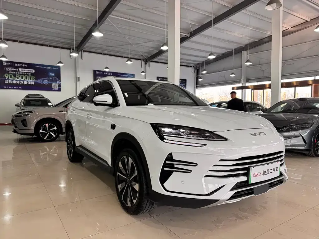 BYD PLUS New Energy — фото 9
