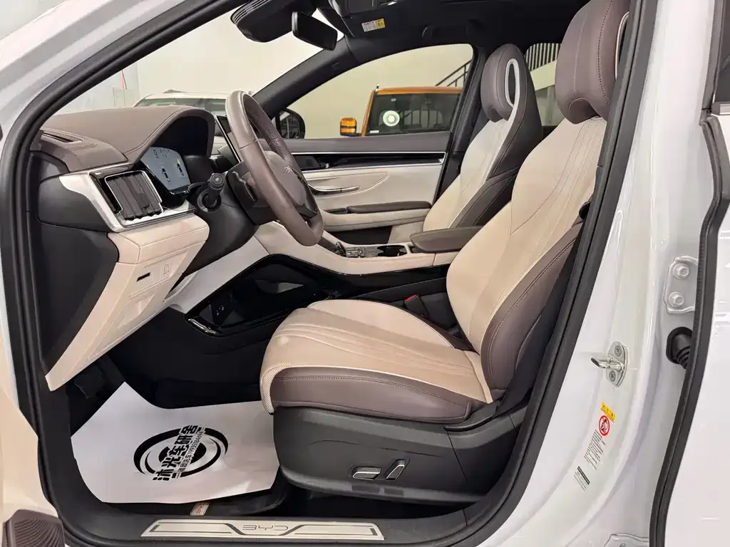 BYD PLUS New Energy — фото 3