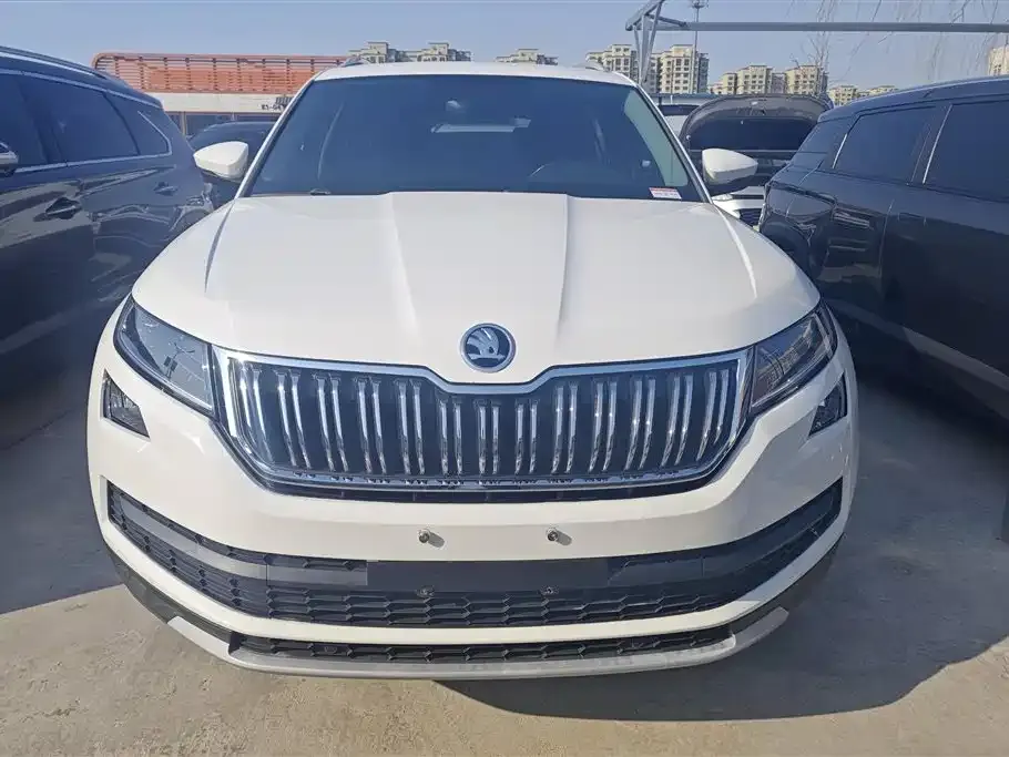 Skoda Kodiaq 2021 из CN, фото 5