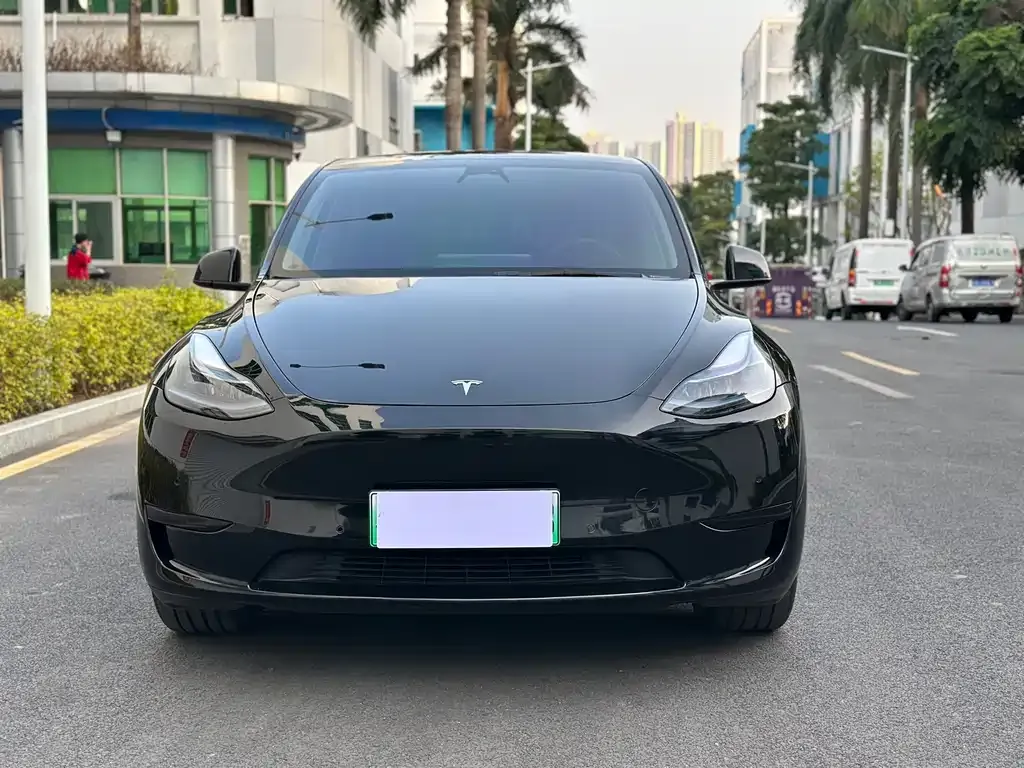 Tesla Model Y 2023 из CN, фото 9