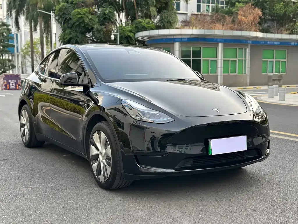 Tesla Model Y 2023 из CN, фото 7