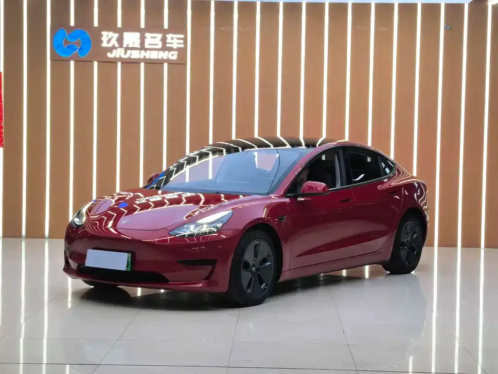 Tesla Model 3 2021 из CN, фото 1