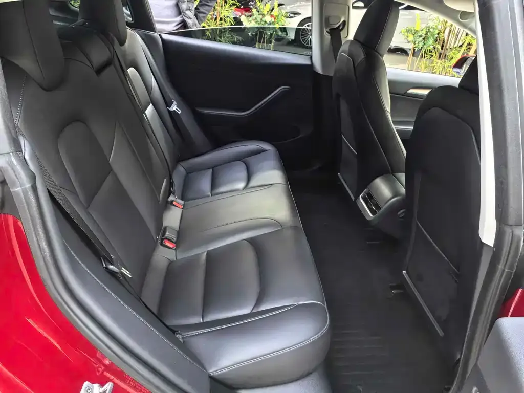 Tesla Model 3 2021 из CN, фото 8