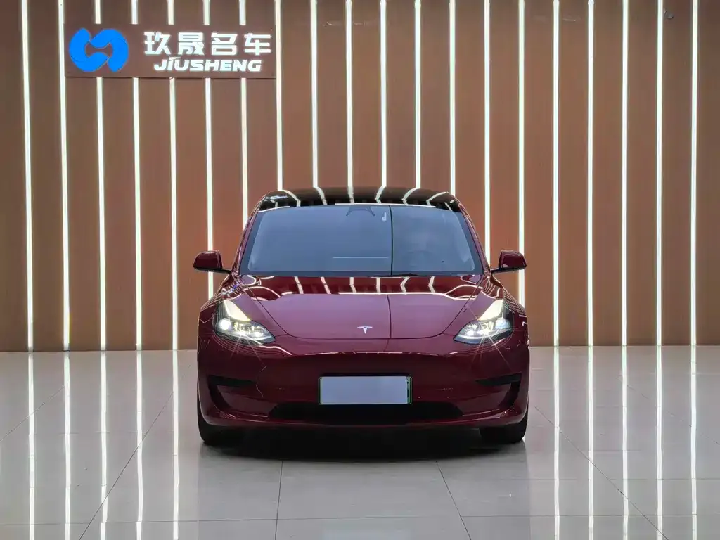 Tesla Model 3 2021 из CN, фото 2
