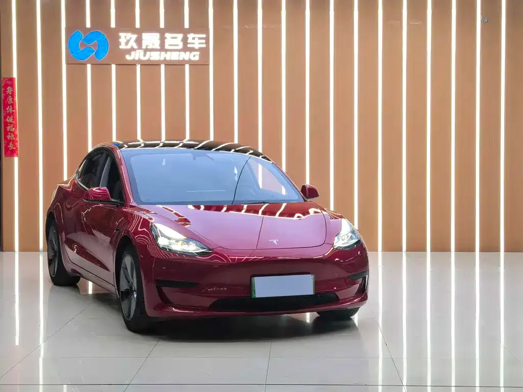 Tesla Model 3 2021 из CN, фото 3