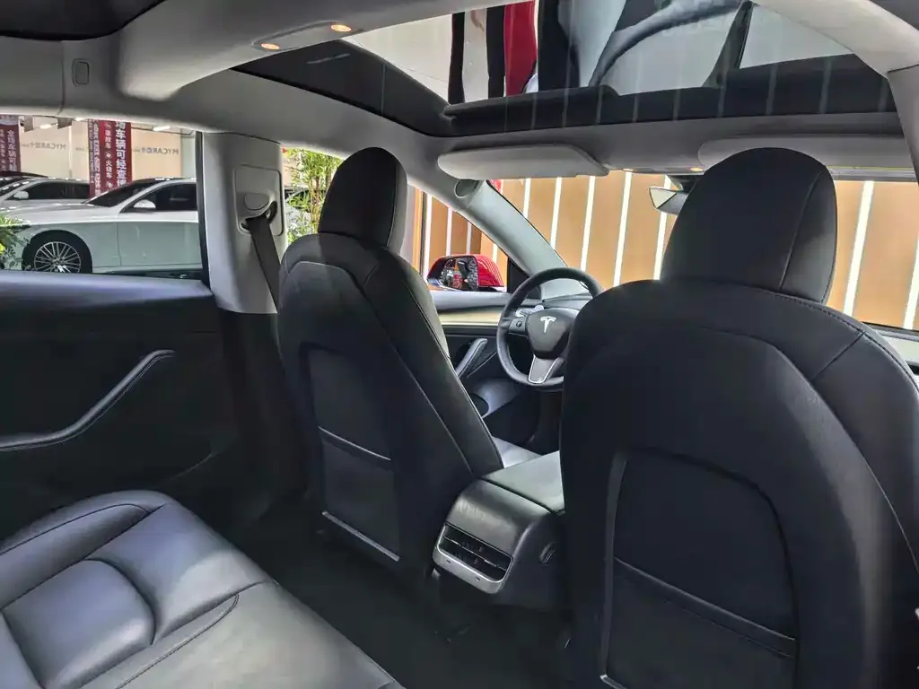 Tesla Model 3 2021 из CN, фото 4