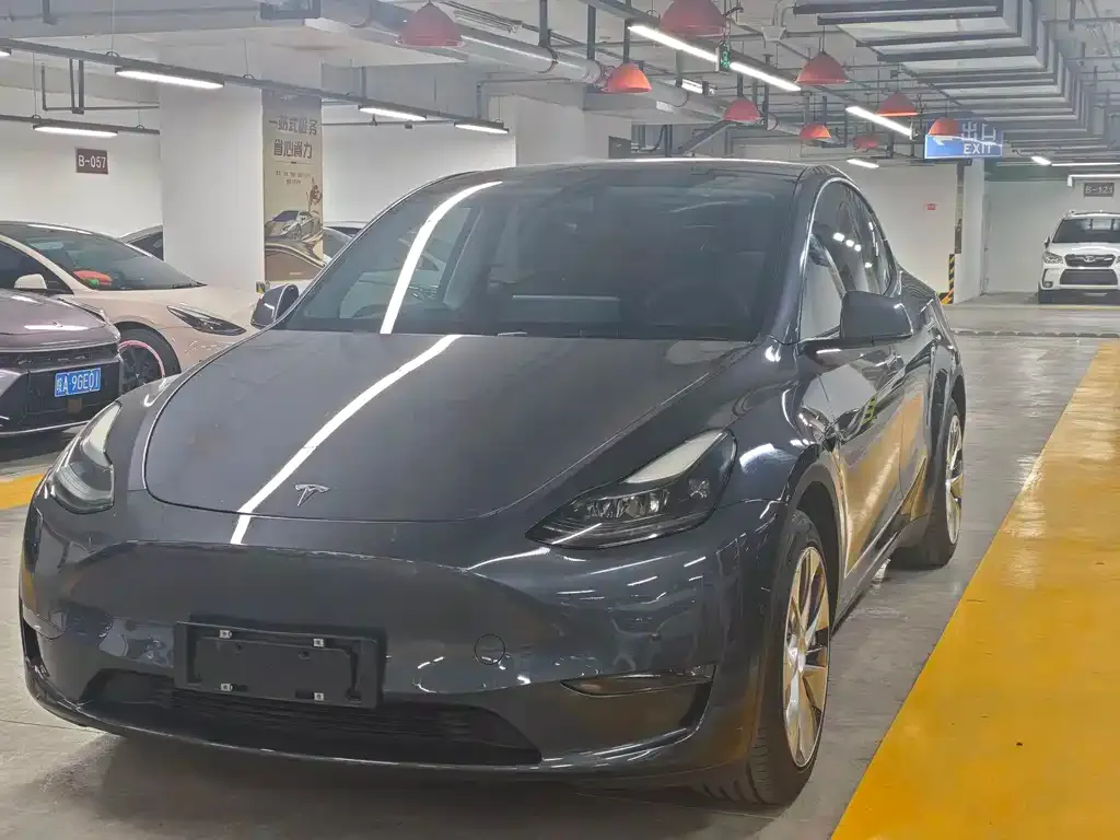 Tesla Model Y — фото 1