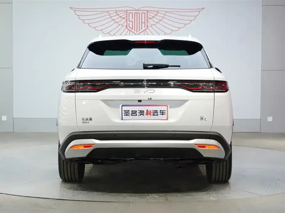 BYD L DM-i — фото 8