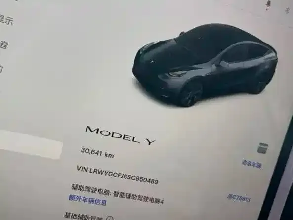 Tesla Model Y — фото 3