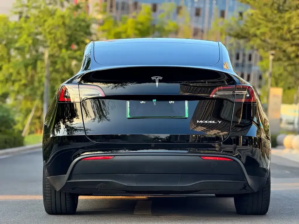 Tesla Model Y 2022 из CN, фото 2