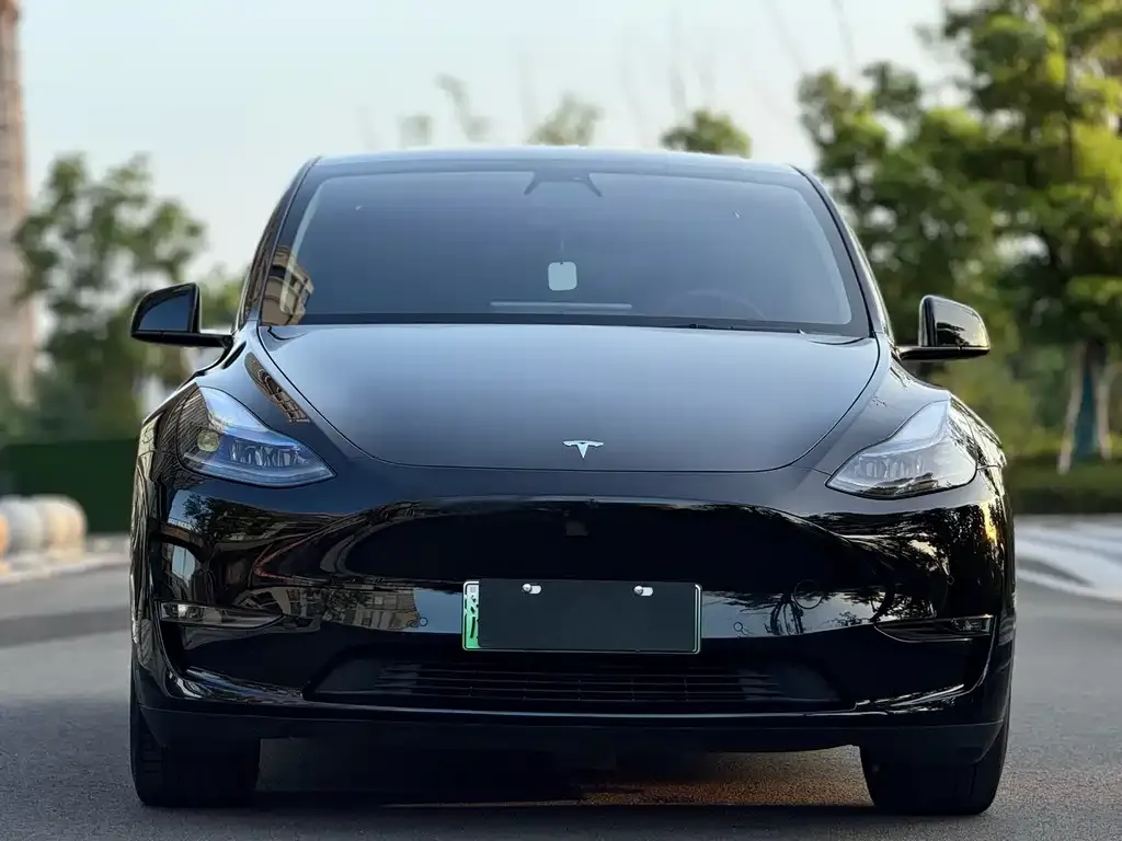 Tesla Model Y 2022 из CN, фото 5