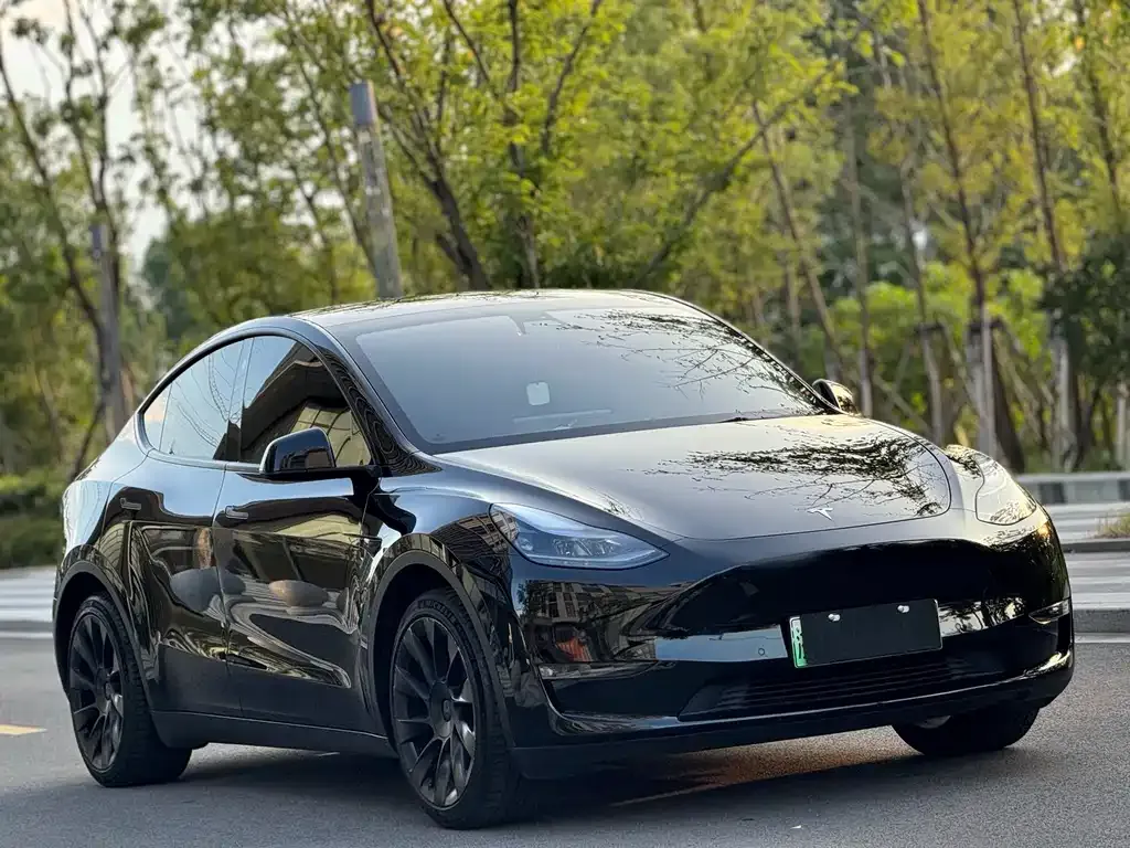 Tesla Model Y 2022 из CN, фото 3
