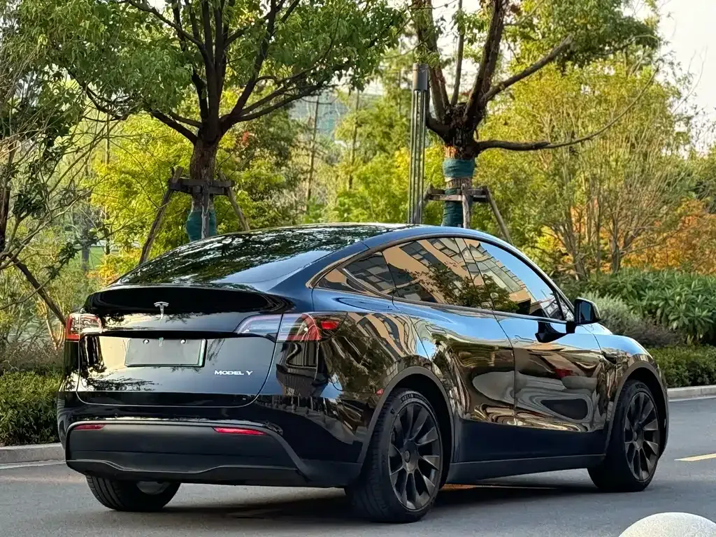 Tesla Model Y 2022 из CN, фото 8