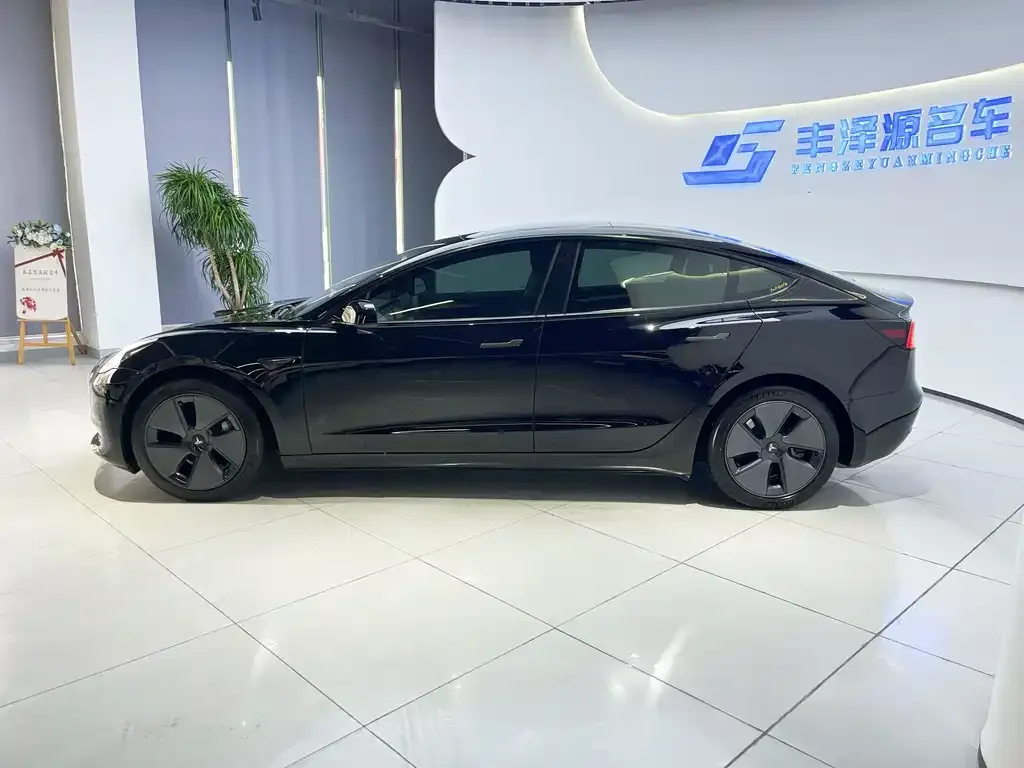 Tesla Model 3 — фото 2
