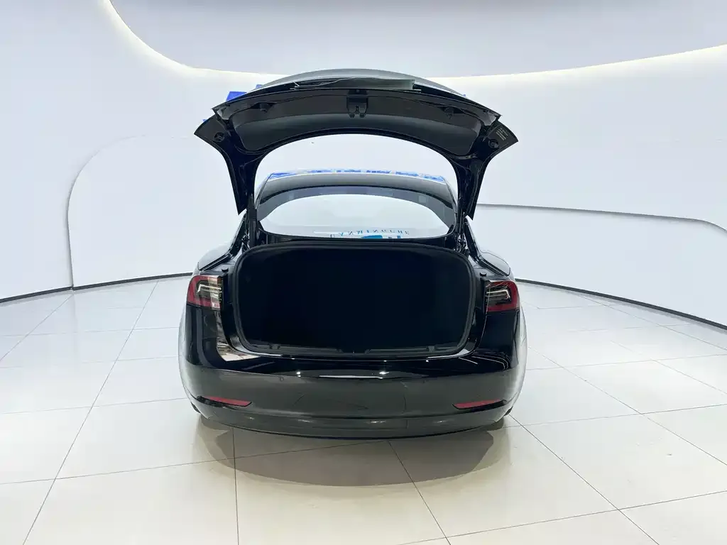 Tesla Model 3 — фото 5