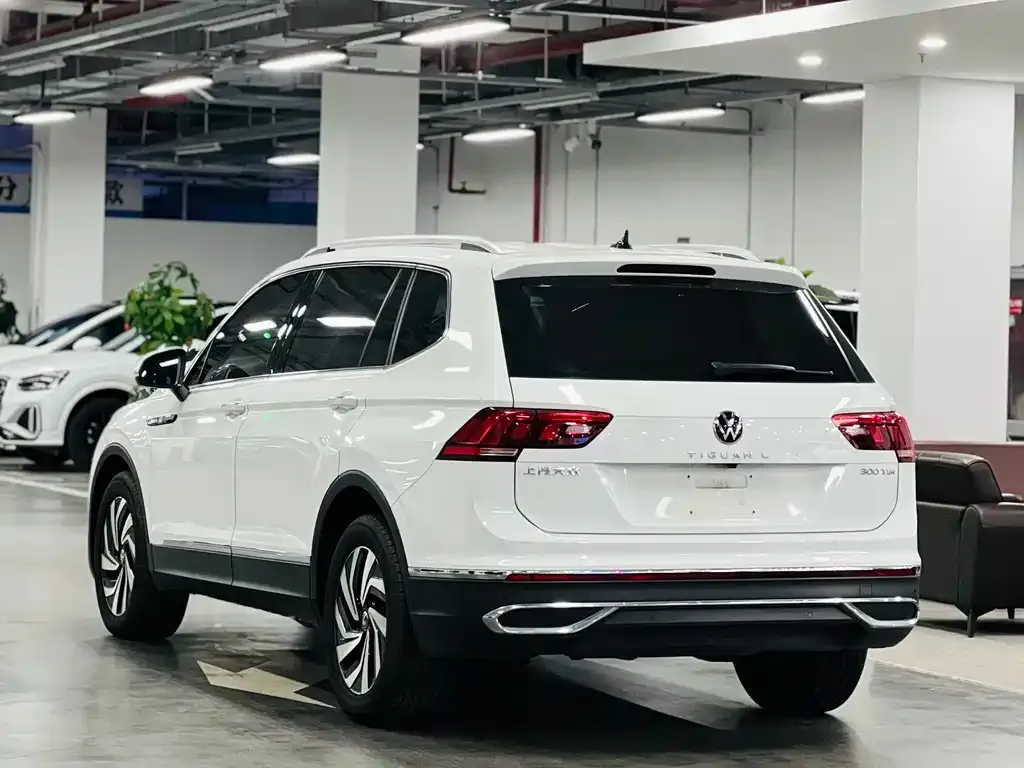 Volkswagen Tiguan L 2023 из CN, фото 2