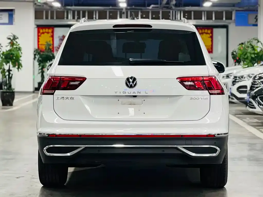 Volkswagen Tiguan L 2023 из CN, фото 7