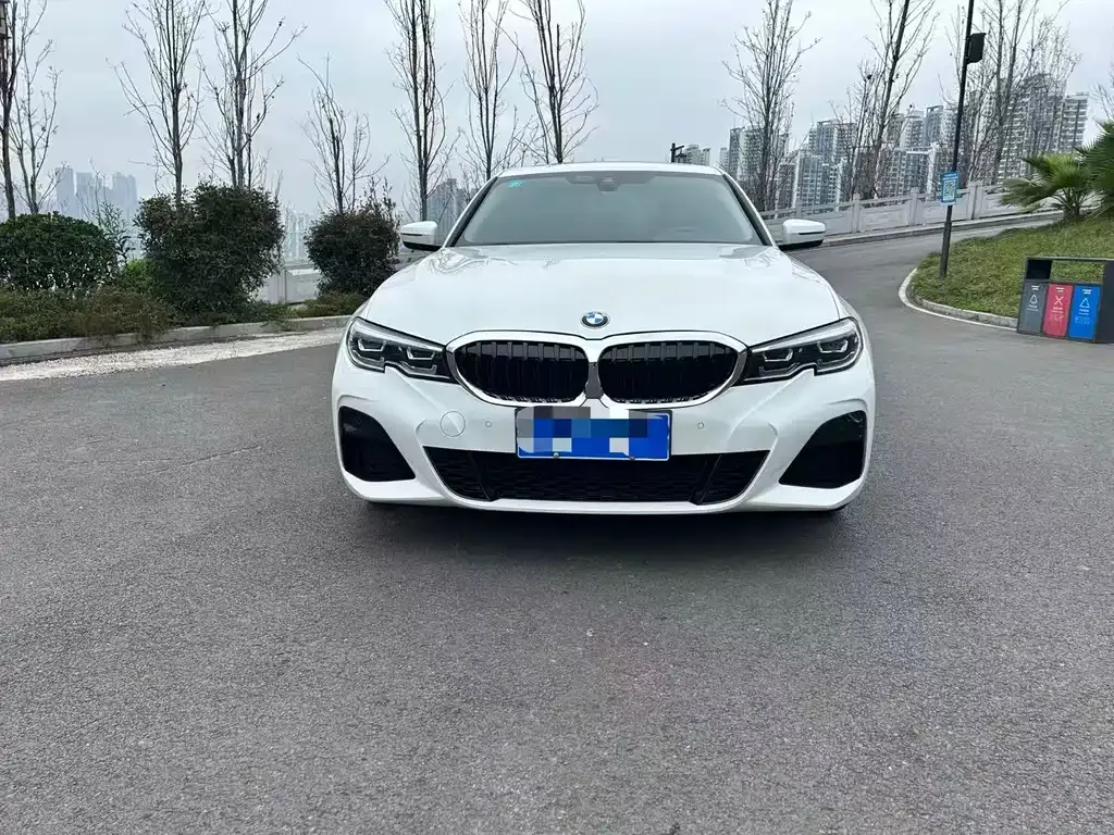 BMW 3 Series 2021 из CN, фото 9
