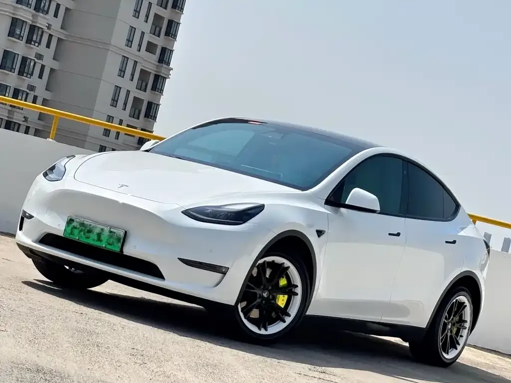 Tesla Model Y 2021 из CN, фото 1