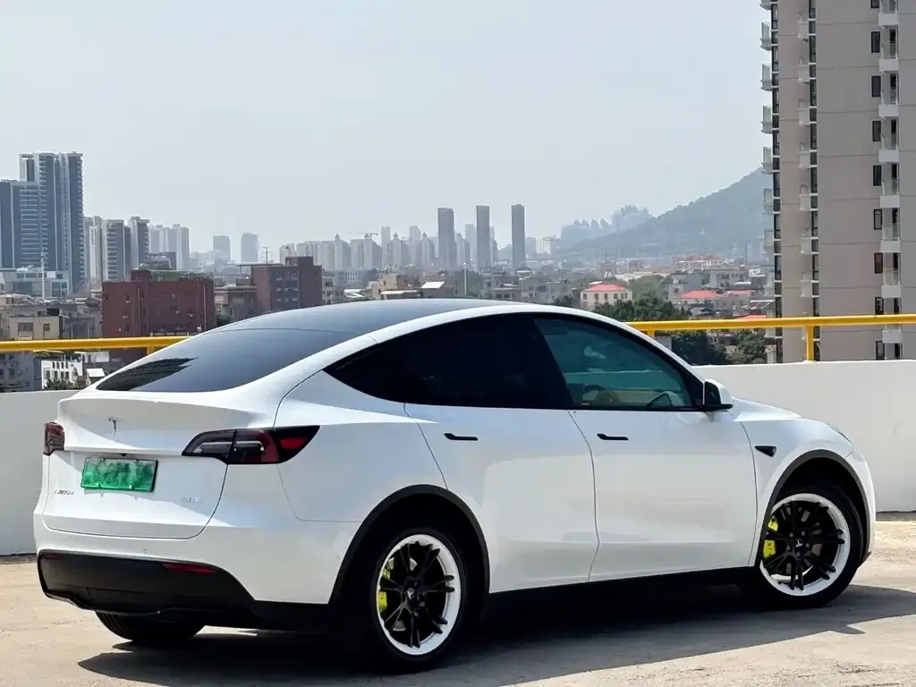 Tesla Model Y 2021 из CN, фото 8