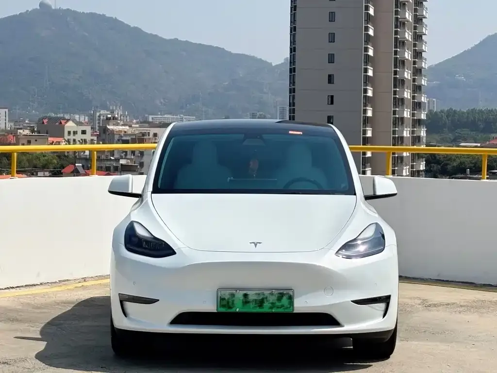 Tesla Model Y 2021 из CN, фото 9