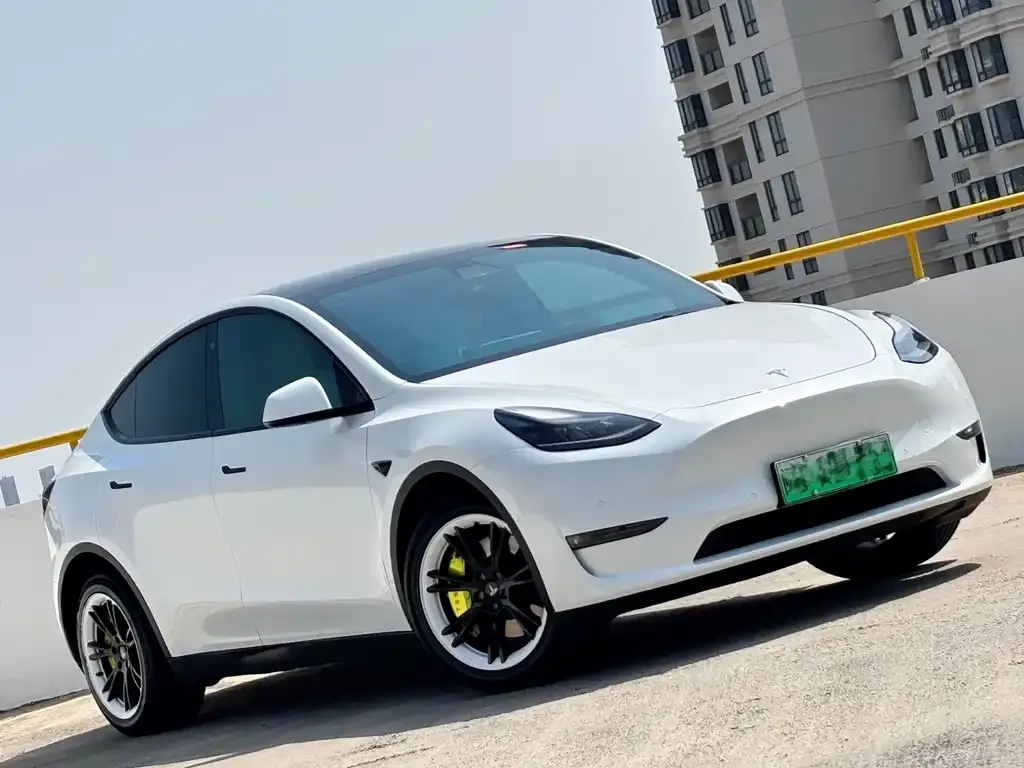 Tesla Model Y 2021 из CN, фото 10