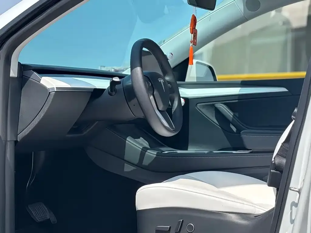 Tesla Model Y 2021 из CN, фото 6
