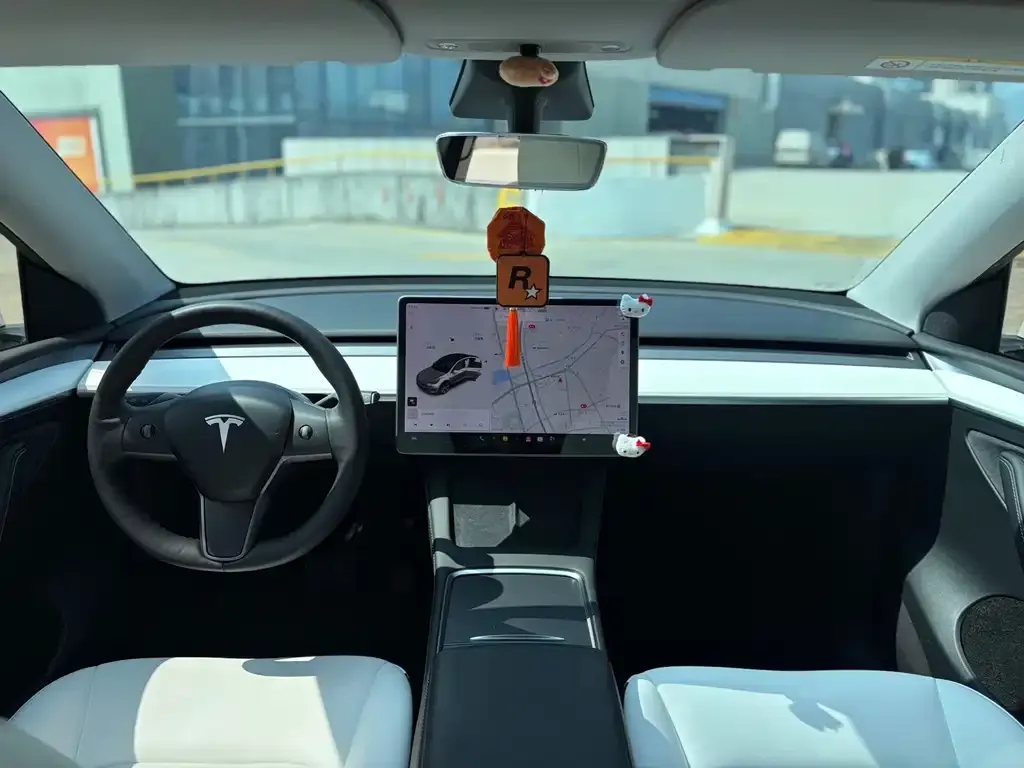 Tesla Model Y 2021 из CN, фото 4