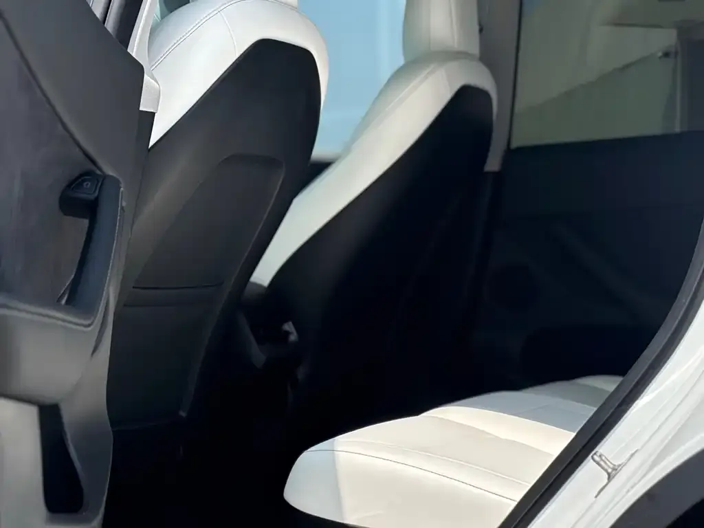 Tesla Model Y 2021 из CN, фото 7