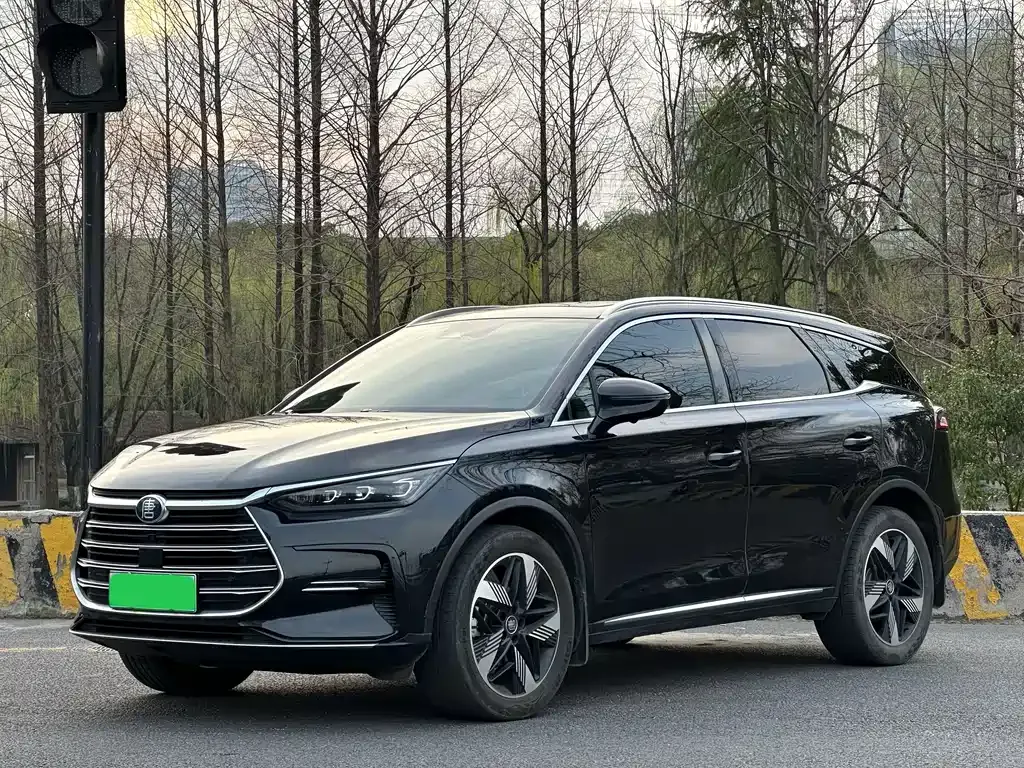 BYD Tang New Energy 2023 из CN, фото 1