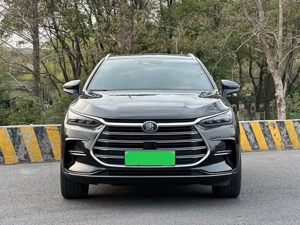 BYD Tang New Energy 2023 из CN, фото 8