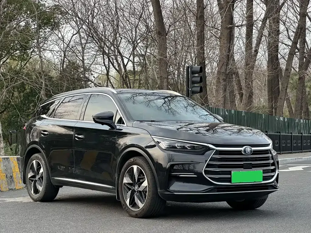 BYD Tang New Energy 2023 из CN, фото 9