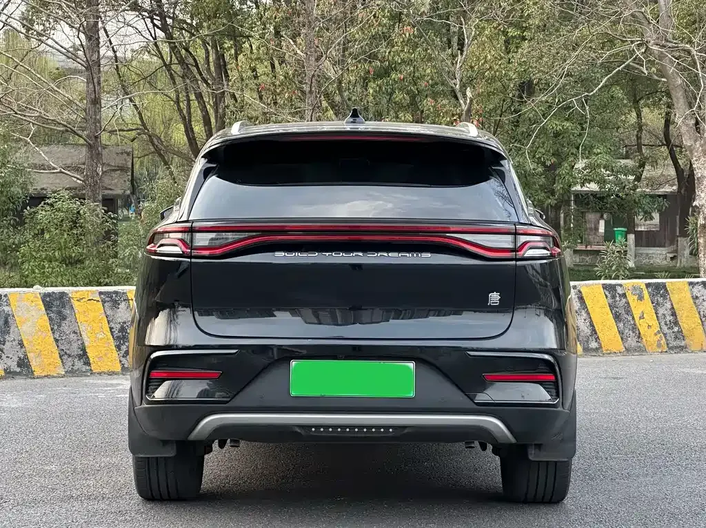 BYD Tang New Energy 2023 из CN, фото 7